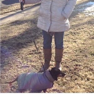 Dachshund Puffy Jacket